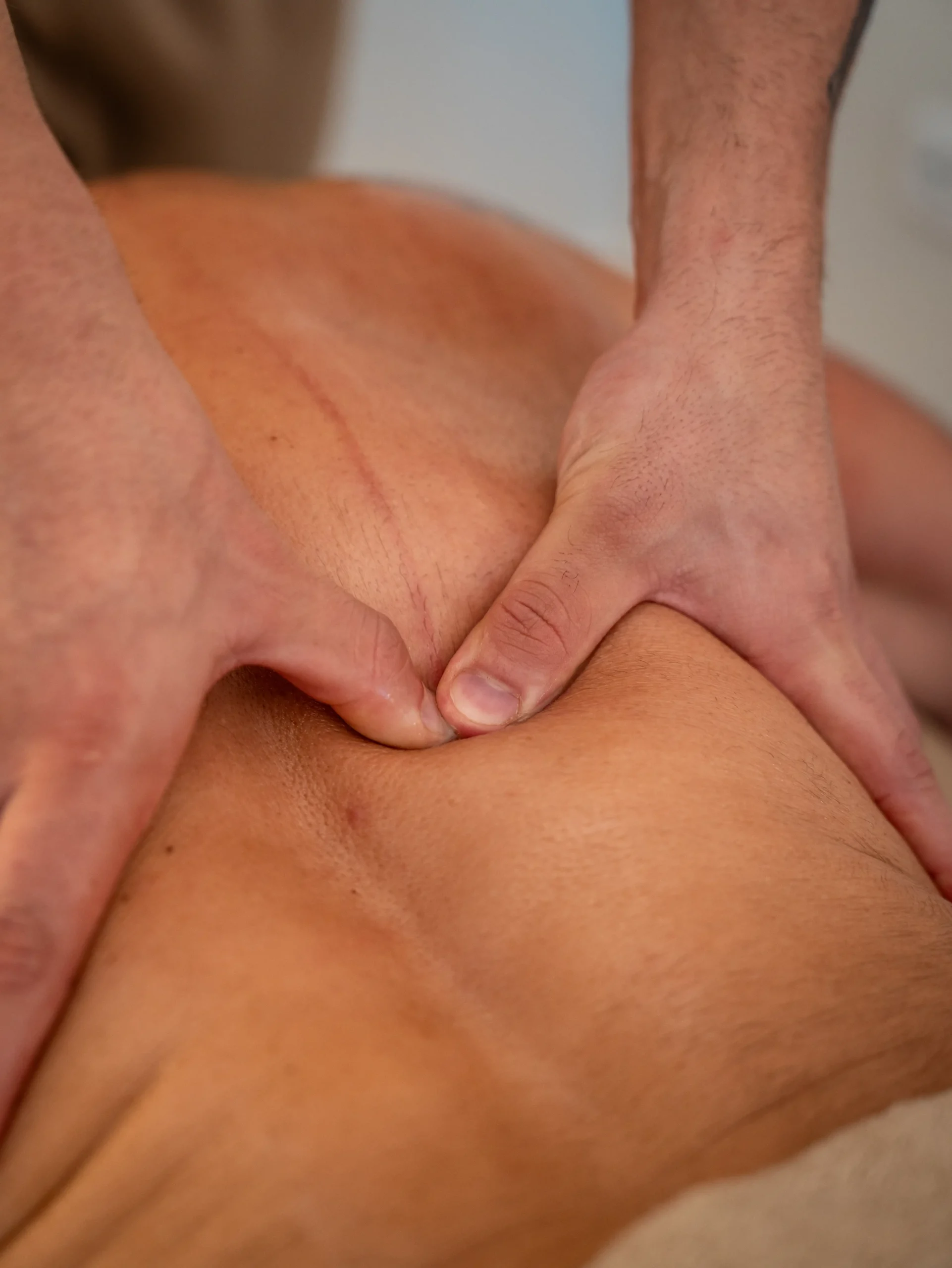 Sg Fisioterapia